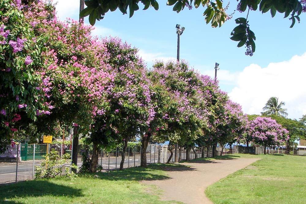Fare Natihere Papeete  Exterior foto